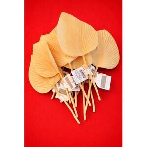 Set of 12 Palm Leaf Picks 8” Natural Dried Decorative Leaves 3.5” Wide